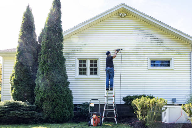Best Roof Washing  in Bristol, CT